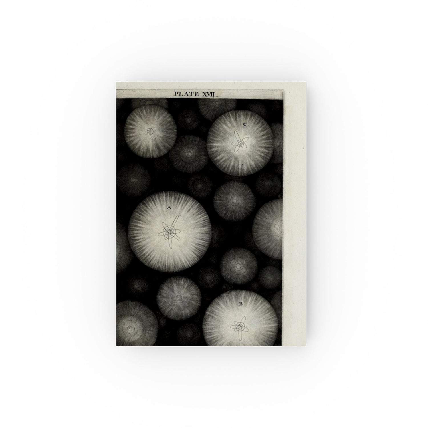 Journal