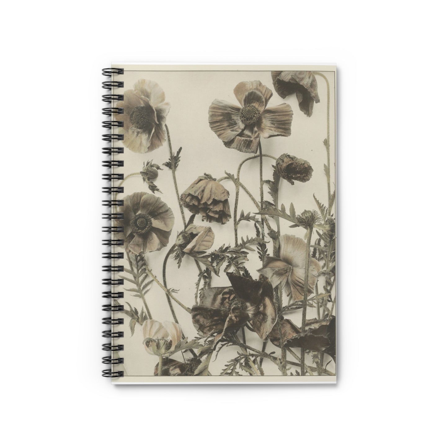 Vintage Flowers - Ruled Line Note -