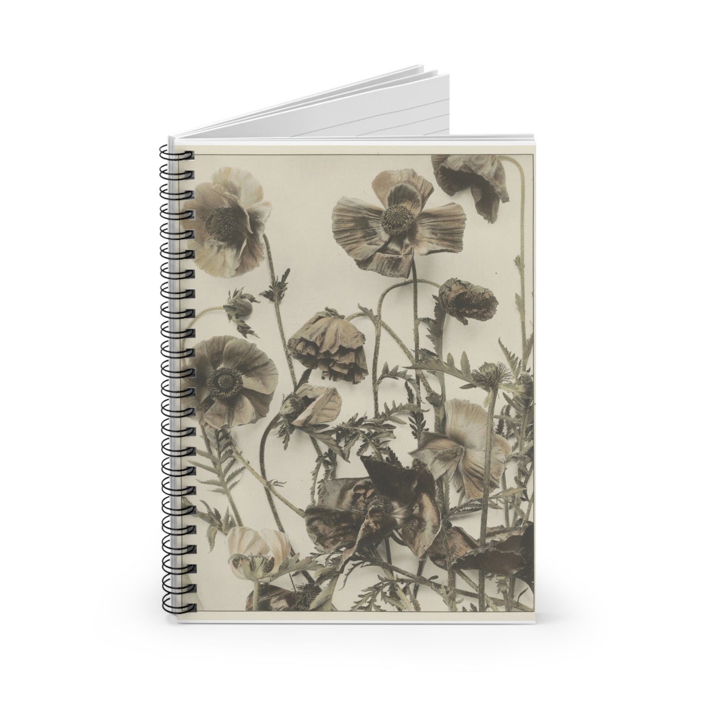 Vintage Flowers - Ruled Line Note -