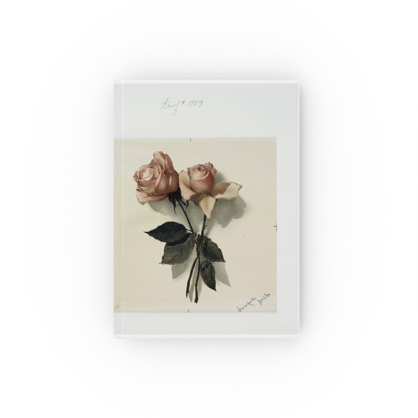 Roses - Journal Book -