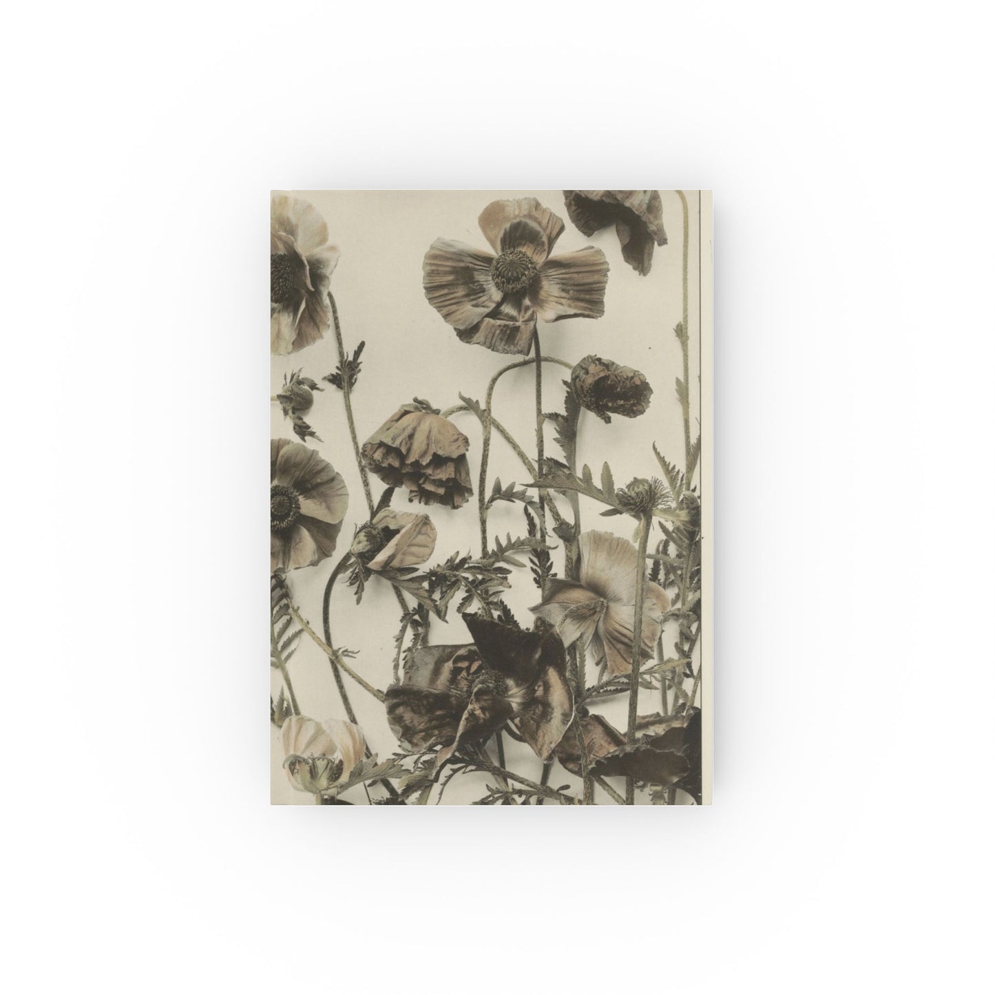 Vintage Flowers - Journal Book -