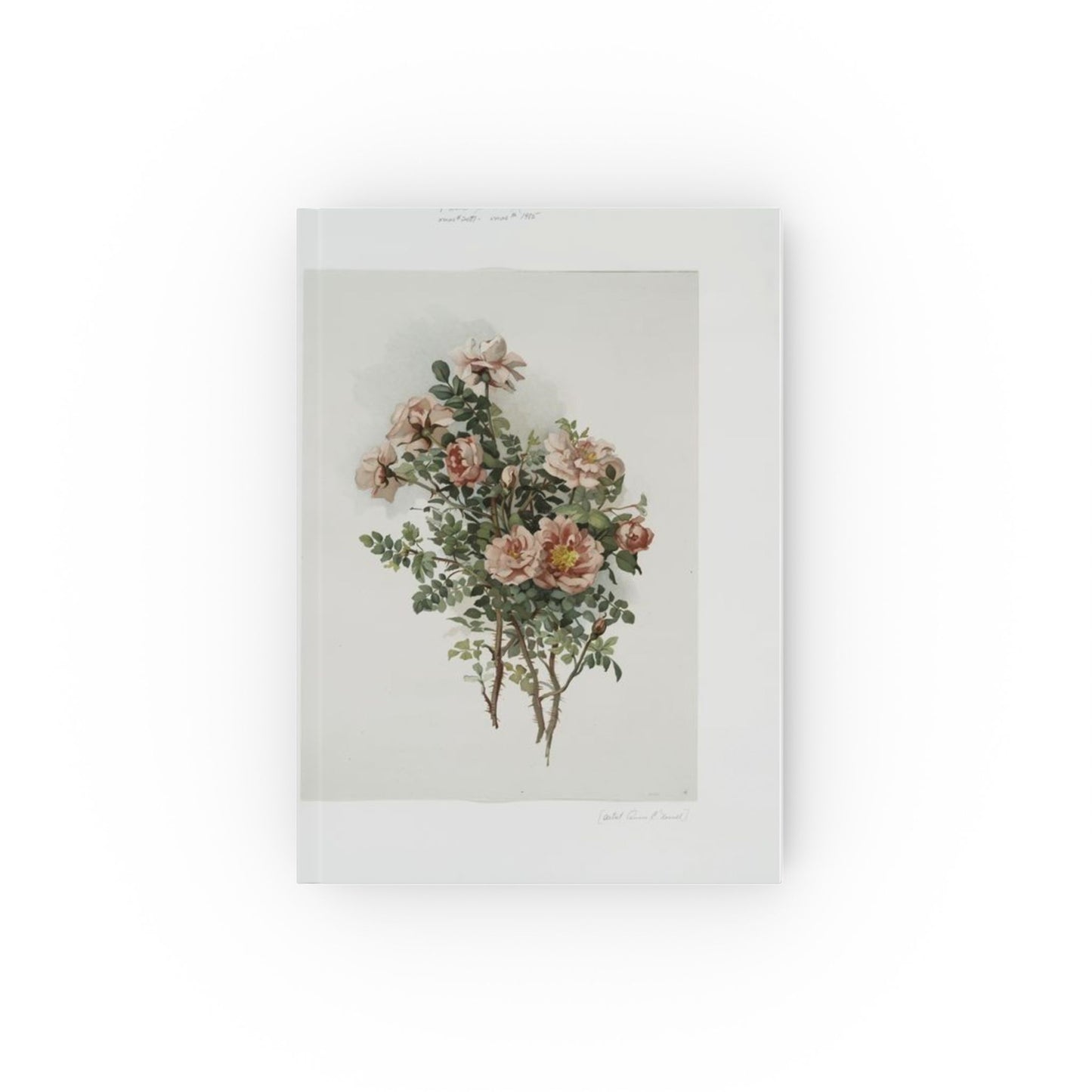 Scotch Roses - Journal Book -