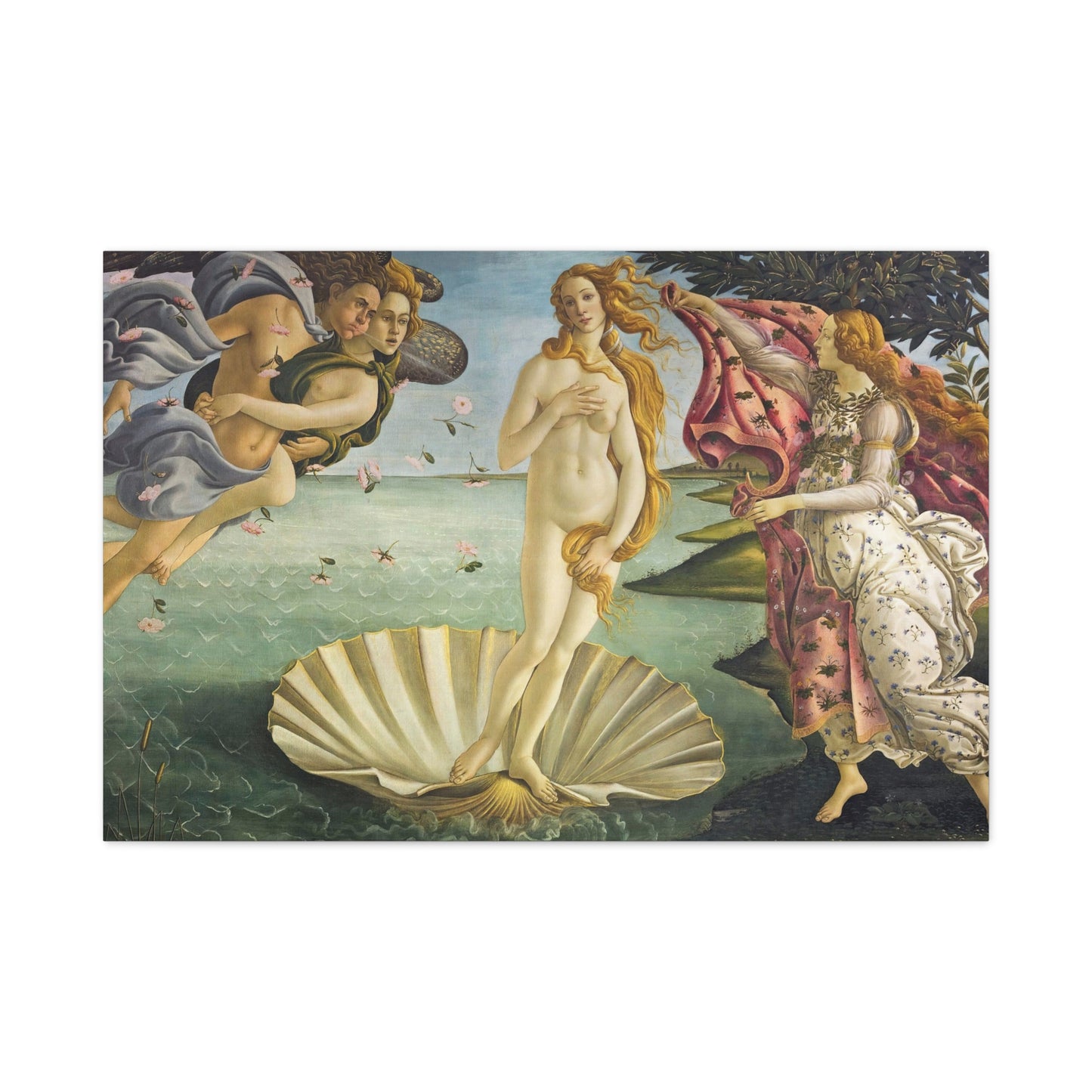 The Birth of Venus | Sandro Botticelli - Canvas -